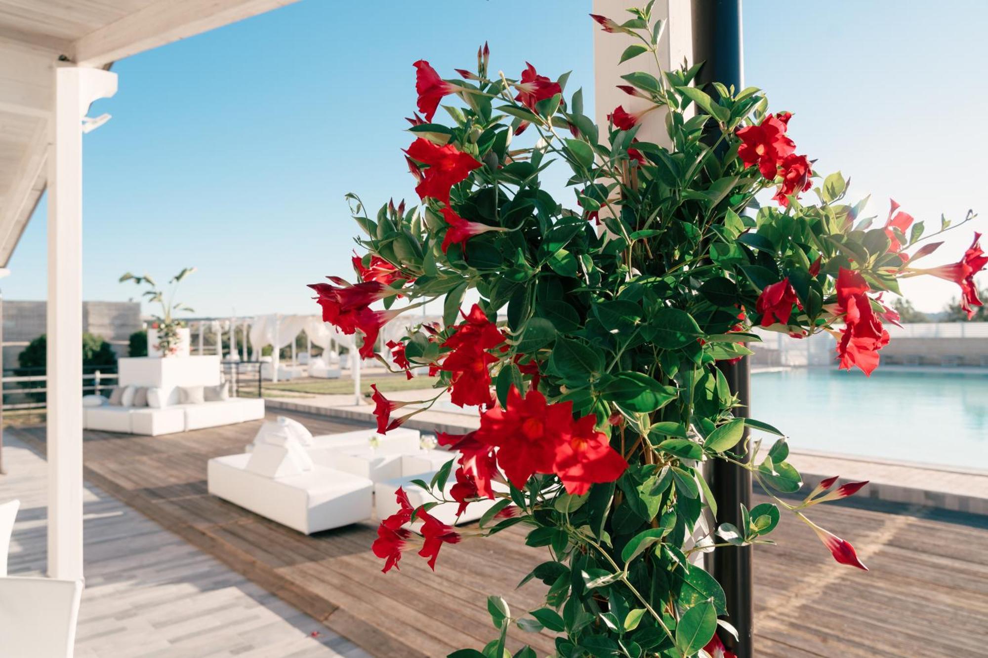 Bed and Breakfast Zyra Garden Club Акуавива-делле-Фонти Экстерьер фото
